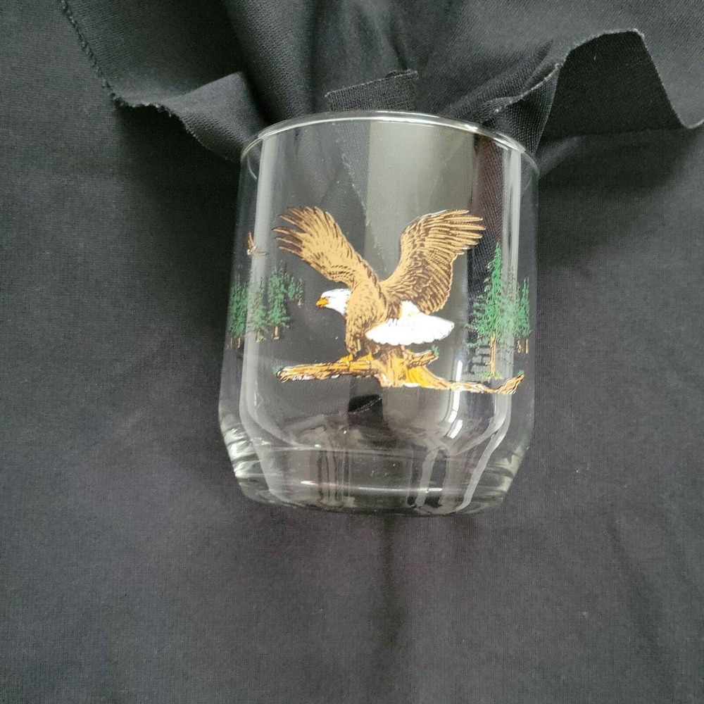 Vintage American Wildlife Bald Eagle Glass - Sunoco Oil Service Station!